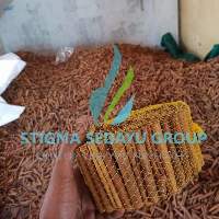 Cinnamon Sticks Grade AA