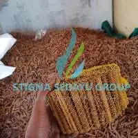 Cinnamon Sticks Grade AA