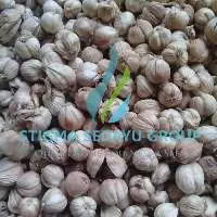 Cardamom