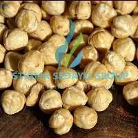Candlenut