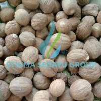 Nutmeg