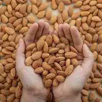 Almond