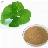 Centella Asiatica Powder
