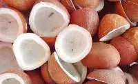 Coconut