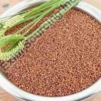 Millets