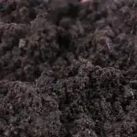 Cow Dung Powder