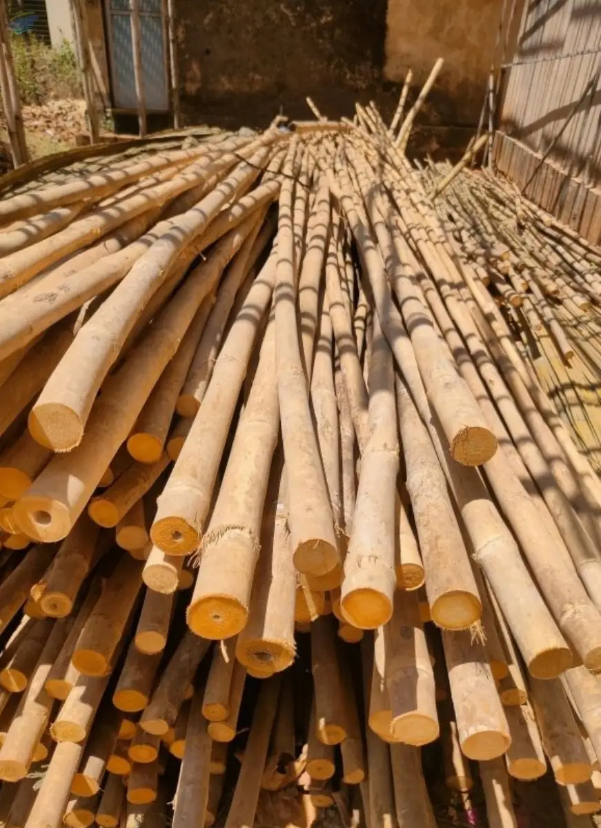 Bamboo Poles