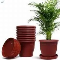 Flower Pots