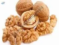 Natural Raw Walnuts Premium Quality