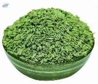 Premium Quality Fennel Seeds for Cooking