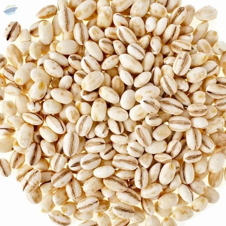 Barley