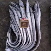 Frozen Ribbon Fish