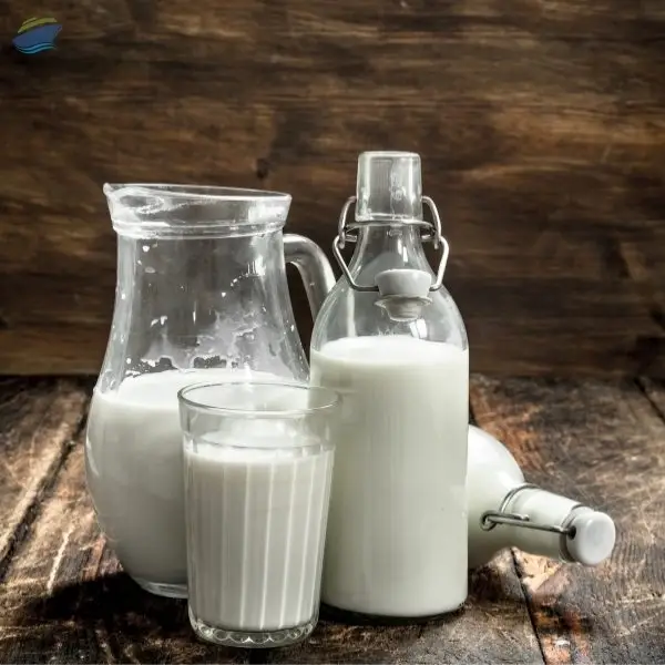 Sterilized Milk (400ml)