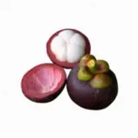 Fresh Mangosteen