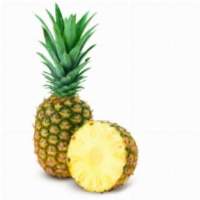 Fresh Pineapple