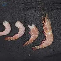 Frozen Shrimp