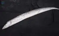 Frozen Ribbon Fish