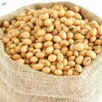 Soybeans