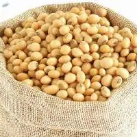 Soybeans