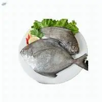 Local Black Pomfret / Whole Round