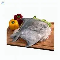Frozen Chinese Pomfret Whole Round