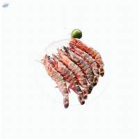 Tiger Prawn / Udang Harimau