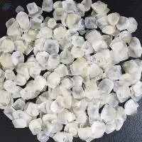 Dried Fish Scale
