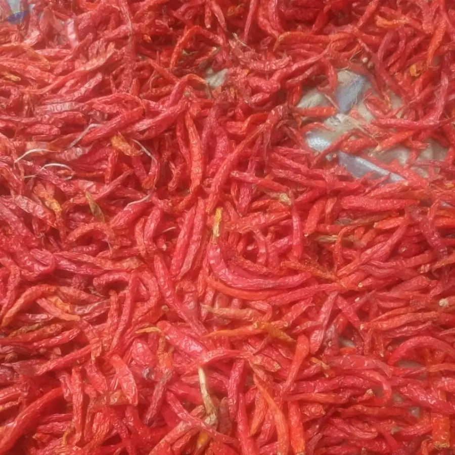 Dry Stemless Cayenne Chili Pepper