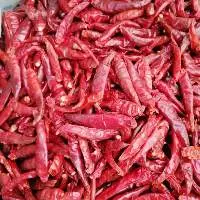 Dry Stemless Demon Birds Eye Chili Pepper