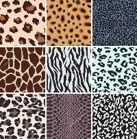 Animal Skin