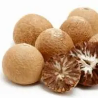 Betel Nut / Arecanuts