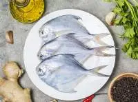 Silver-Pomfret (Pampus Argenteus)