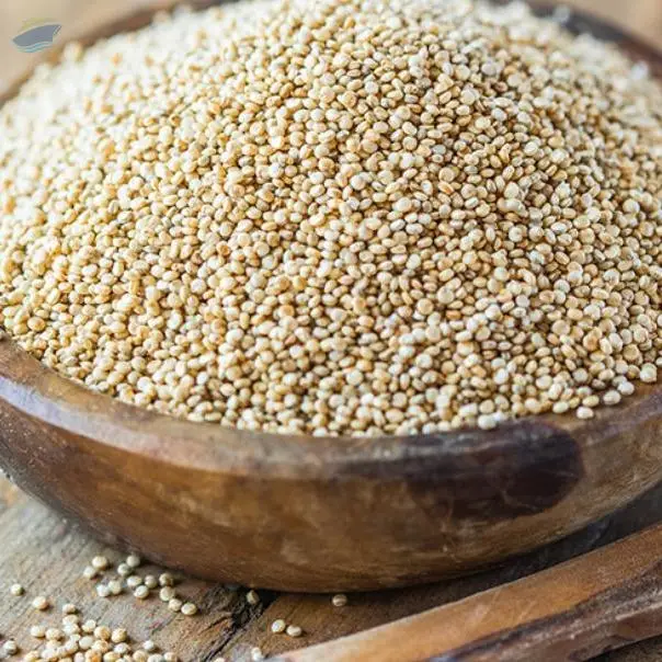 Amaranth Millet by Egalactic. Supplier from India. Product Id 1430564.