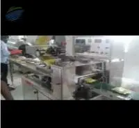 Automatic Noodles Pouch Packing Machines