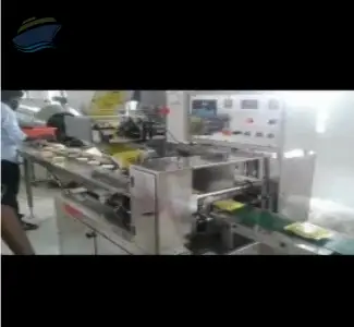 Automatic Noodles Pouch Packing Machines