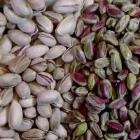 Pistachio In Shell Open Naturally