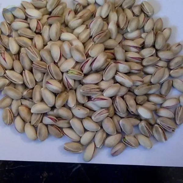Pistachio In Shell Close