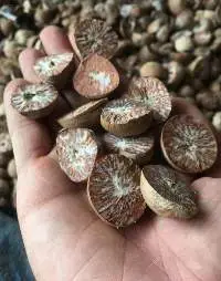 Split Betel Nut