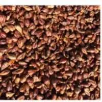 Dried Grape Seeds