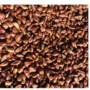 Dried Grape Seeds