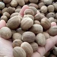Nutmeg