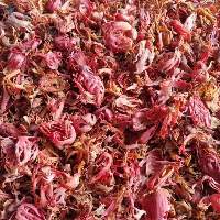Mace