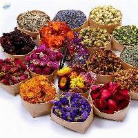 Dried Leaves And Flower Petals