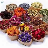 Dried Leaves And Flower Petals