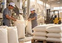 Brazilian VHP Raw Sugar
