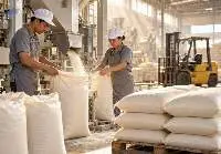 Brazilian VHP Raw Sugar