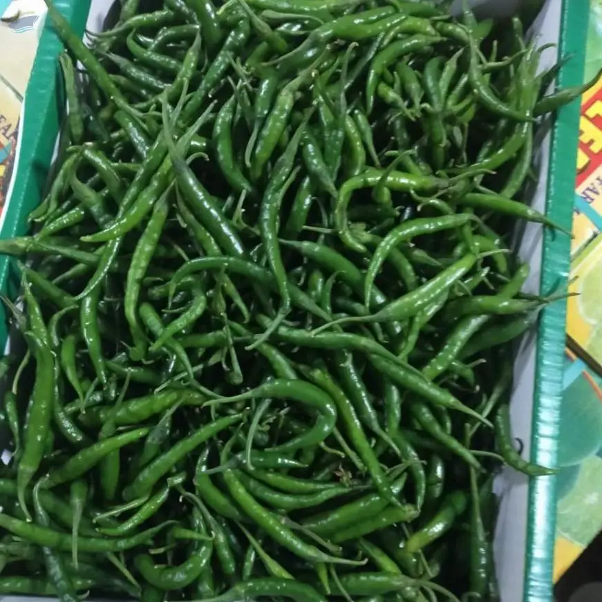 Chilli G4