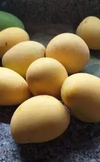 Mango Mingolo