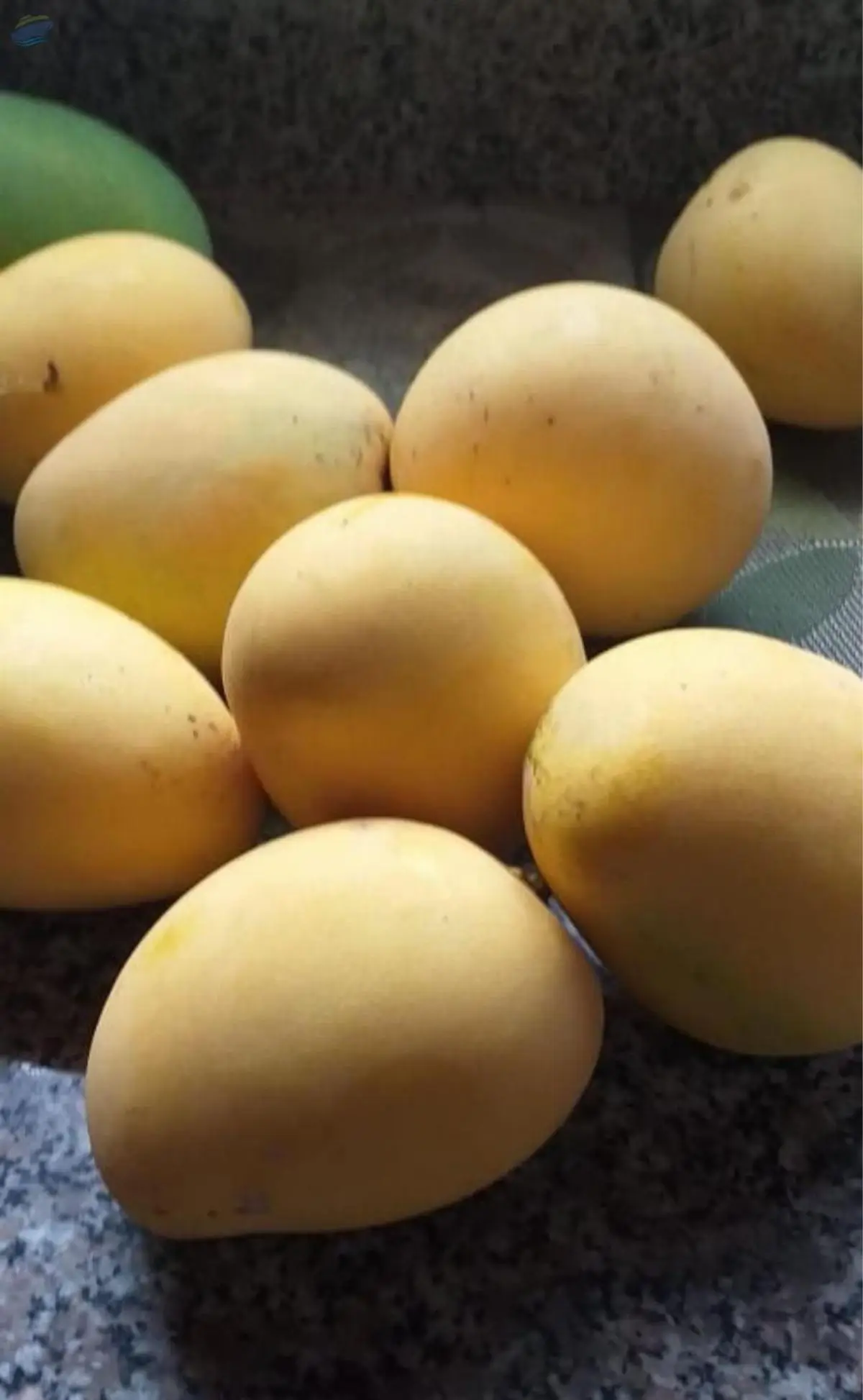 Mango Mingolo