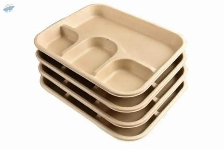Bagasse Tableware's